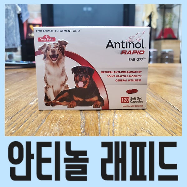 [강아지 관절 영양제/강아지 슬개골 탈구] 안티놀 래피드 : 강아지 알약 먹이는 방법