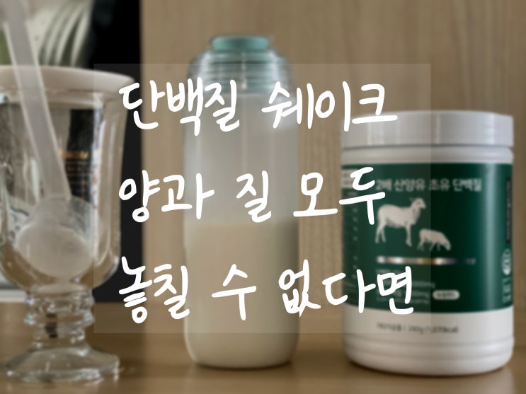  단백질보충제 찾으신다면 [ 2배 산양유 초유 단백질 ] 추천해요!