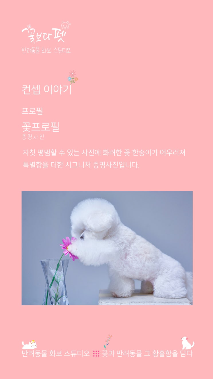  꽃프로필(증명사진)