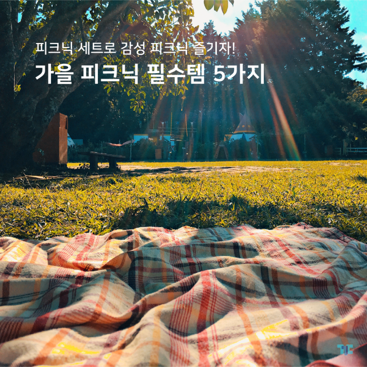  피크닉소품 5가지! 꾸다 피크닉세트로 가을 감성피크닉 즐기자