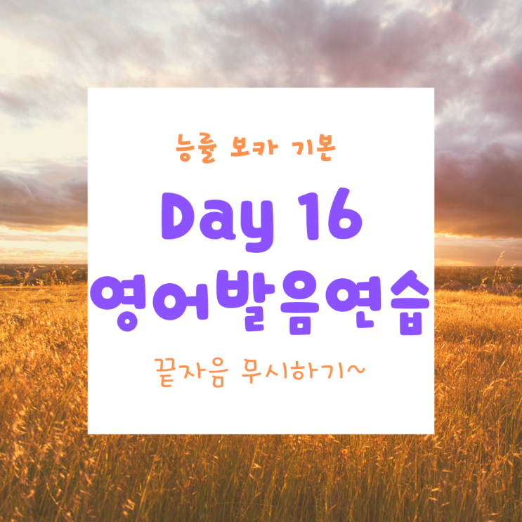  [끝자음 무시하기]영어 발음 연습,  [Day 16] 능률 보카 기본 영어 단어를 [1/4/7/14]반복주기로 복습하기