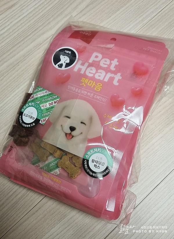더존펫