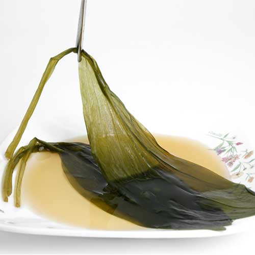 핵가성비 좋은 산마늘 명이나물 10kg, 1개 좋아요 핵가성비 좋은 산마늘 명이나물 10kg, 1개 좋아요