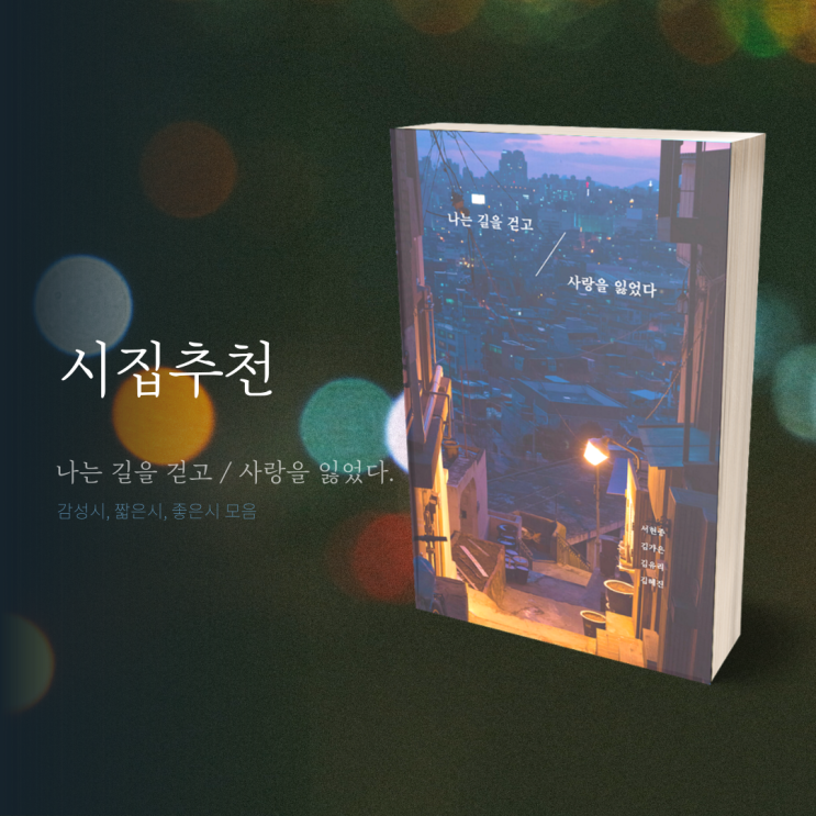  시집추천 '나는 길을 걷고, 사랑을 잃었다' 감성시 짧은시 좋은시 모음