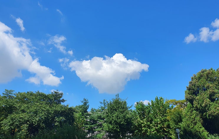  비 그치니깐 넘나 좋은 것. :)