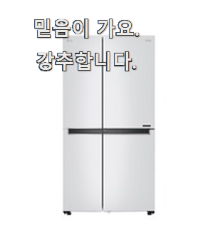  비교정보 엘지디오스양문형냉장고 갓템 선배가 추천해줬어요.