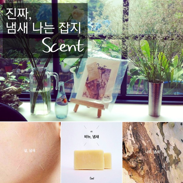  트렌드 코리아 2015 지금은 어떻게 됐을까?(2)