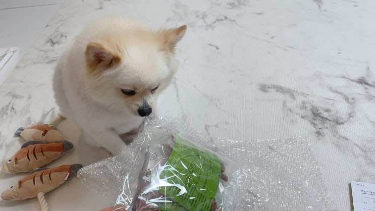  [초이펫] 강아지수제간식 강아지 간식쇼핑몰