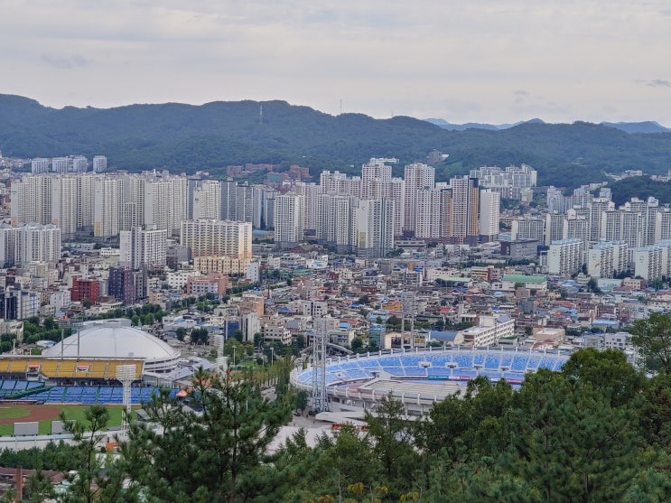 대전광역시 여행 (보문산 : 보운대,대전아쿠아리움,대전목재문화체험장,보문산 숲치유센터 등)