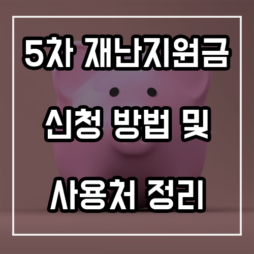 5차 재난지원금 5부제 대상, 신청방법 및 사용처