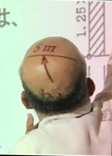  지름 5M