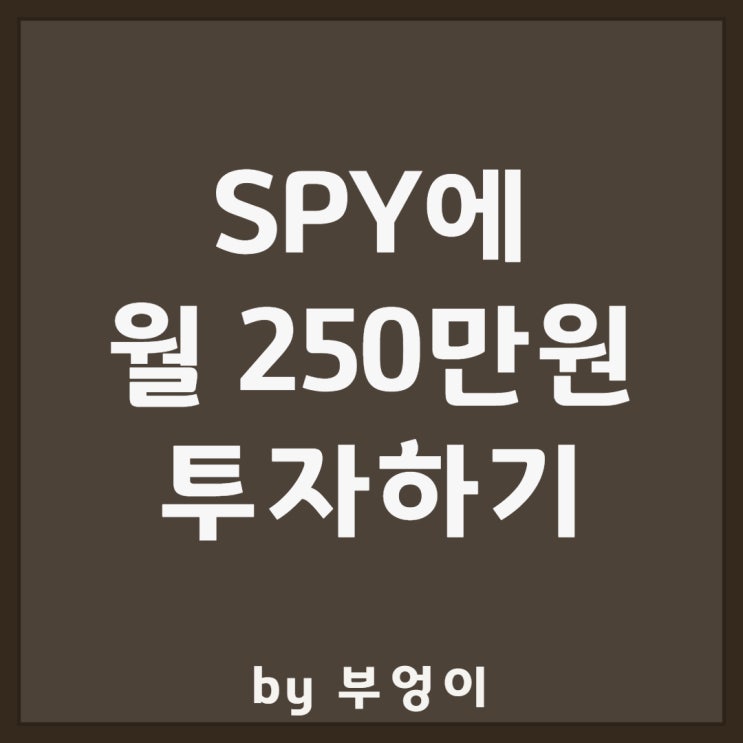 미국 ETF - SPY에 월 250만원 투자하기