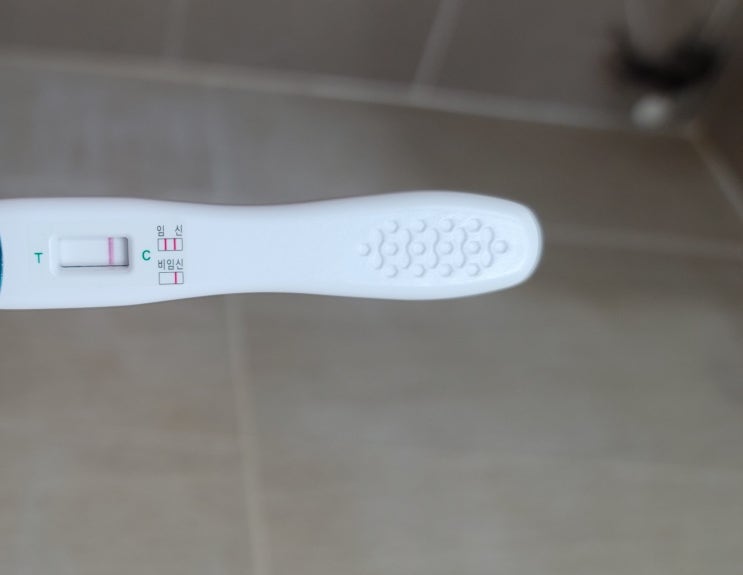  열네번째시도 : 배란 8일차 임테기