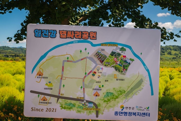  가을에 가볼만한 곳 - 경기도 연천 임진강 댑싸리공원
