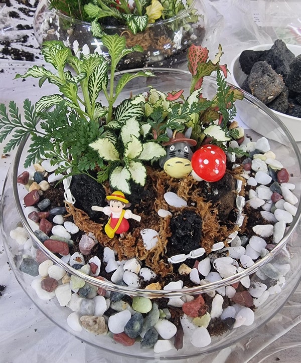  DIY, 테라리움 만들기로 예쁘게 식물인테리어를 하자