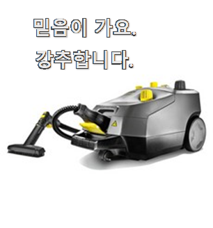  오늘의 스팀청소기 꿀템 순위정보 선택하니 웃음이 나오네요.