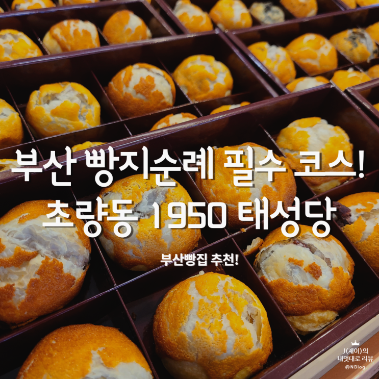 부산역 파이만쥬 맛집 1950 태성당, 부산빵지순례 여행 필수코스 빵집!