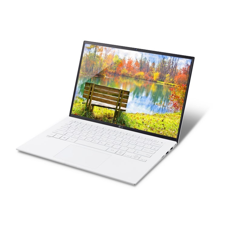 가성비 뛰어난 LG전자 그램14 노트북 14ZD90P-GX50K (i5-1135G7 35.5cm WIN10 Home), 1TB, 윈도우 포함, 8GB 추천해요