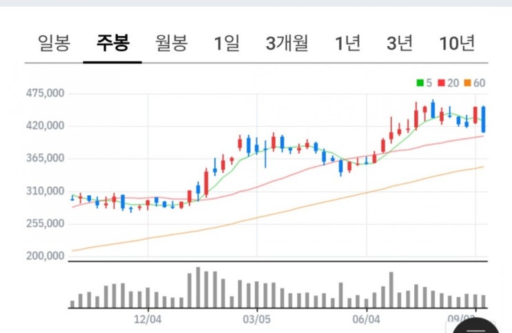  카카오,네이버 정뷰규제 이슈로 대폭락