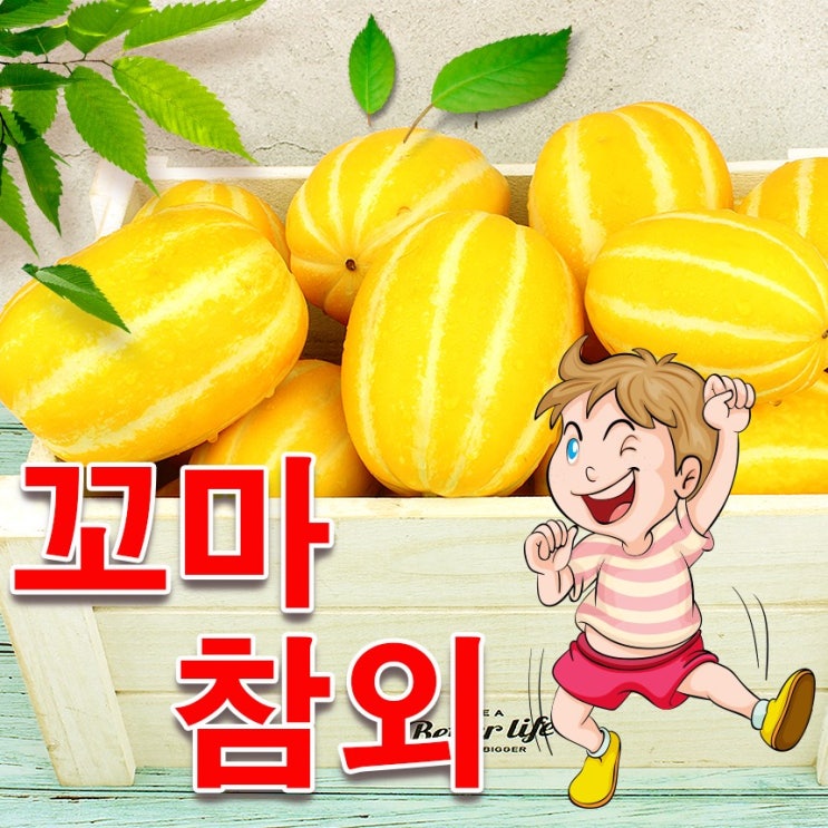 가성비 좋은 [청년농부]참외 성주참외 꼬마참외, 1box, 성주참외 가정용 한입꼬마 10kg(60~75과내외) 추천합니다