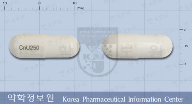 이담제 씨앤유(씨앤유캡슐), 성분/효능효과/먹는법/주의사항 알고 드세요~ : 네이버 블로그