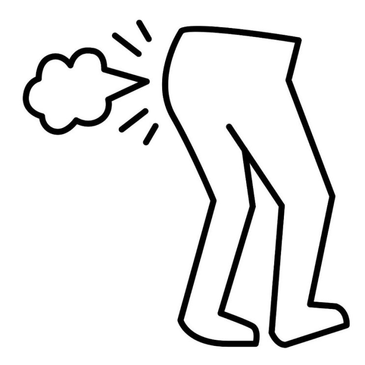  똥마려울때 왜 방귀가 나올까?