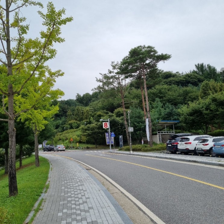  이순신종합운동장 선별진료소 코로나 검사후기 및 운영시간