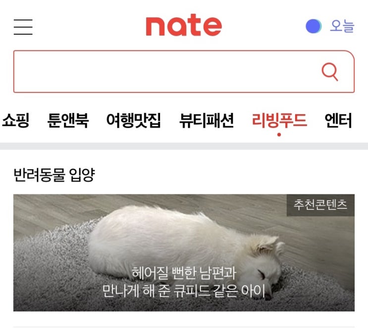  네이트에서 내 글을 심봤다! (feat. 네이트에 제 글이 떴어요!!)