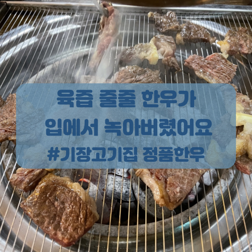  [기장고기집]정원을품은 부산기장고기집 정품한우. 한우구이 먹고왔어요~