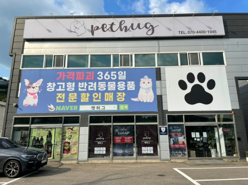 사진 3