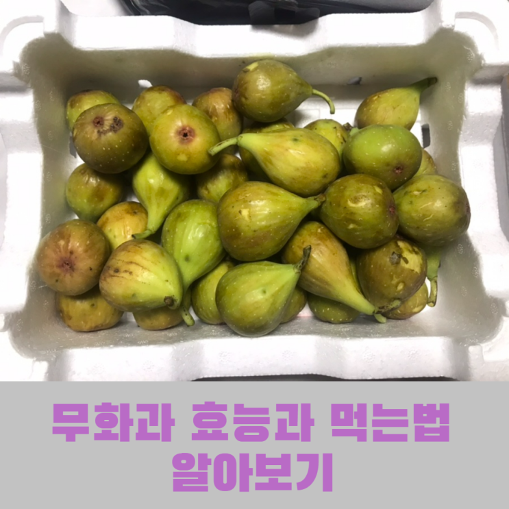  선물로 받은 무화과 효능과 먹는 법에 대해 알아보자