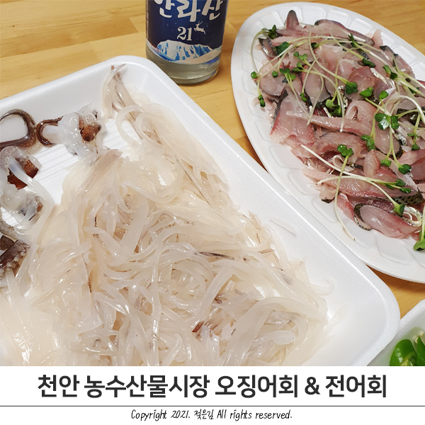 천안 농수산물시장 오징어회 전어회 내돈내산 후기 천안 농수산물시장 오징어회 전어회 내돈내산 후기