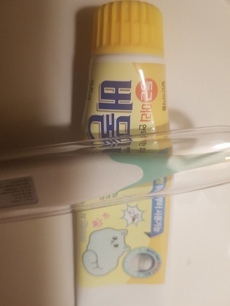  모기와의 전쟁