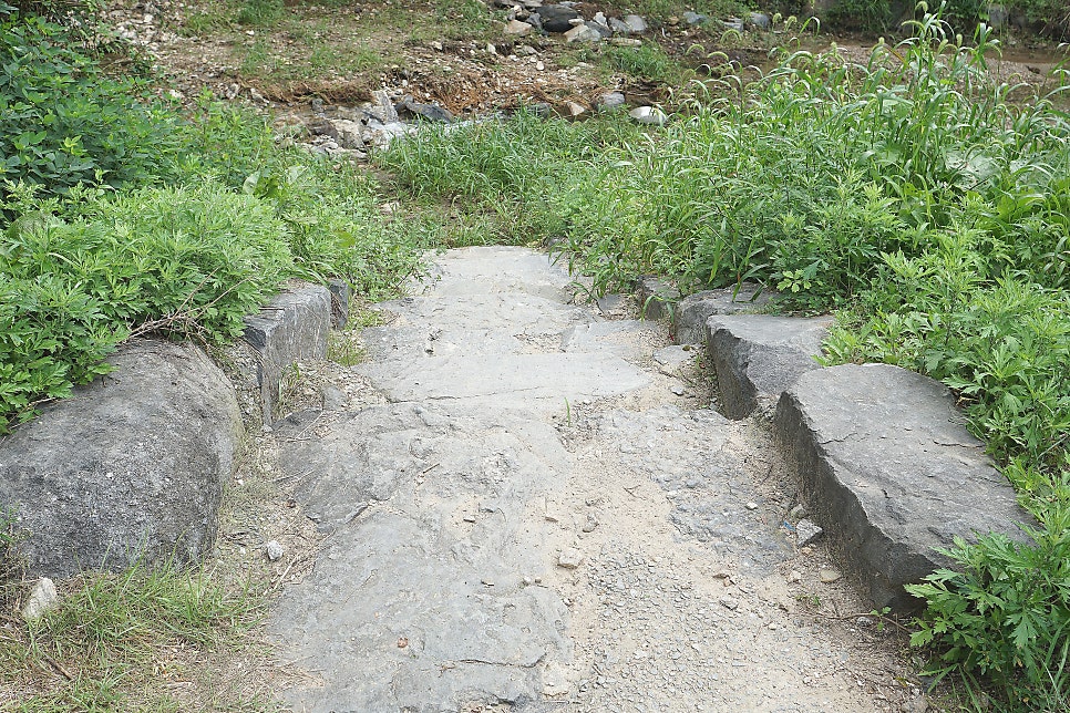 대창골 사진 4
