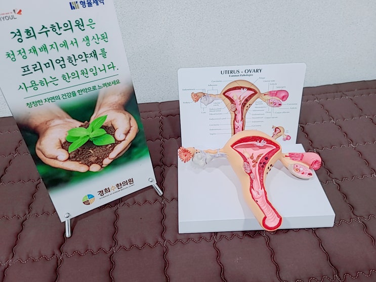  수원 산후보약, 한약으로 산후우울증 극복하세요