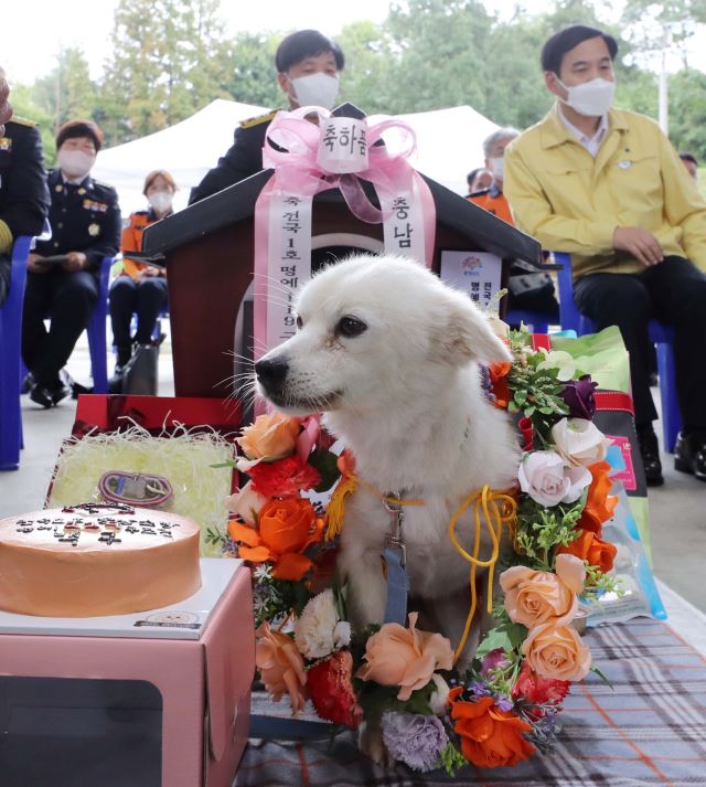 백구야 고마워 ! 백구야 고마워 !