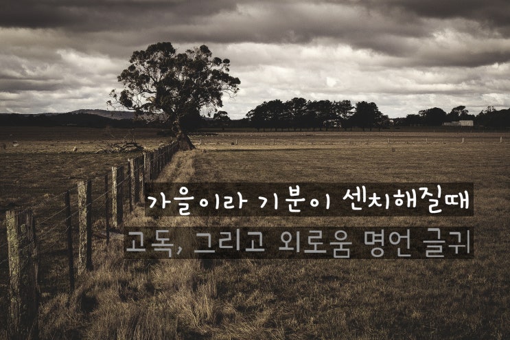  고독, 외로움 명언 글귀들 가을이라 기분이 센치해질 때
