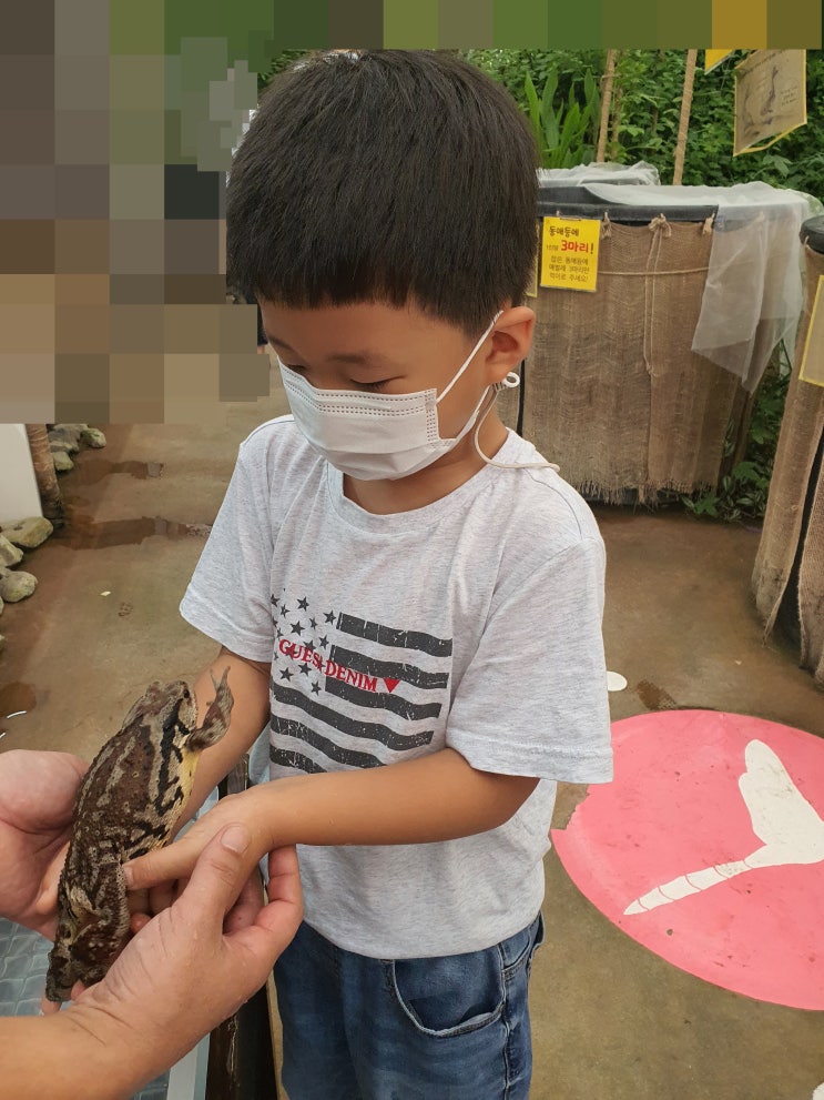  예상 외의 즐거움, 우포잠자리나라