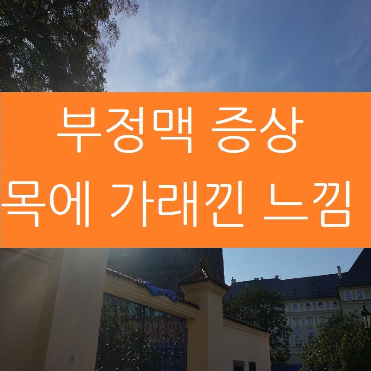  부정맥증상, 어지럼증외에 목에 가래낀 느낌도 있나요