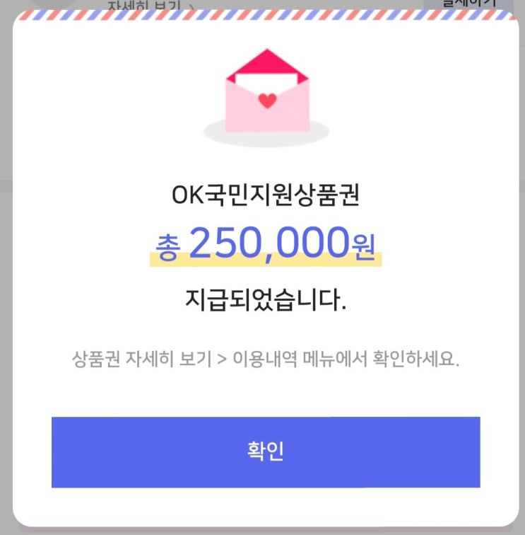  [긴급재난지원금/비플제로페이] 제5차 재난지원금 신청결과와 이용 후기