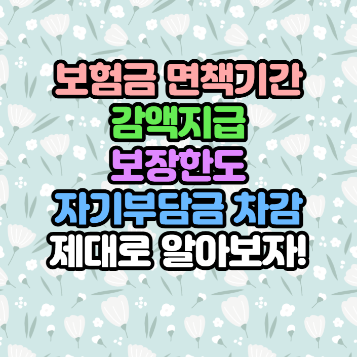  보험금 면책기간, 감액 지급, 보장 한도, 자기부담금 차감이 뭐야?!