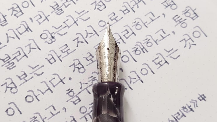  정보는 바로 지식이 되지 않는다 (펜브스 308, 정자체, 만년필 실제 사용 영상)