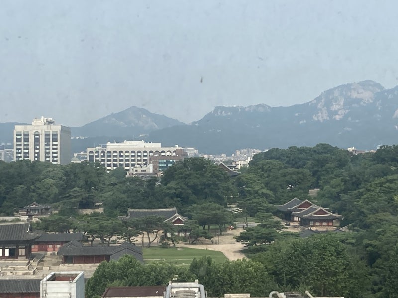 신장암 로봇수술 후기