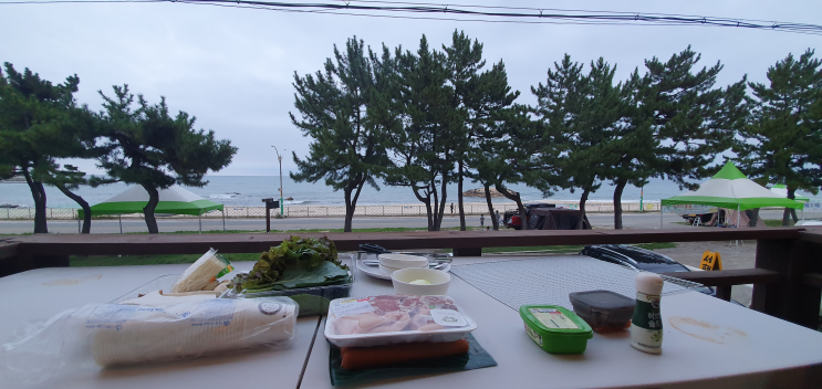  [강원도] 양양 거북바위펜션/직접 묵어본 후기