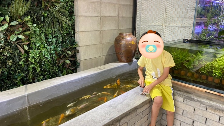  전주 물고기카페 VIP아쿠아 제일커요~