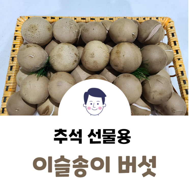  이슬송이 버섯 산지직송 추석선물 추천