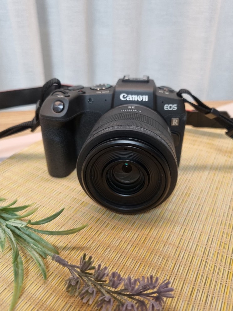 캐논 EOS RP 35mm F1.8 블로그용 카메라로 구입! (풀프레임 미러리스 추천, 내돈내산)