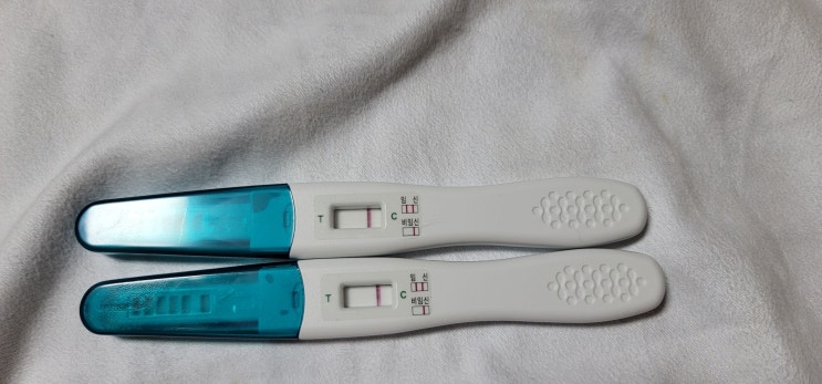  열네번째시도 : 배란 9일차 임테기