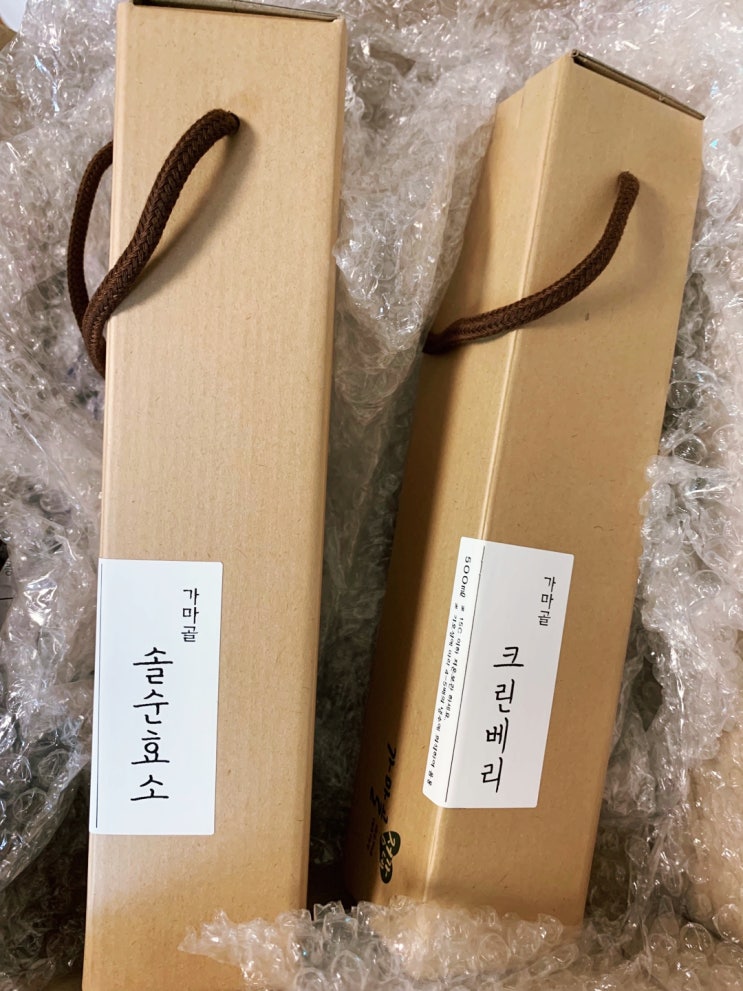  효소 하면 가마골 정가네 효소