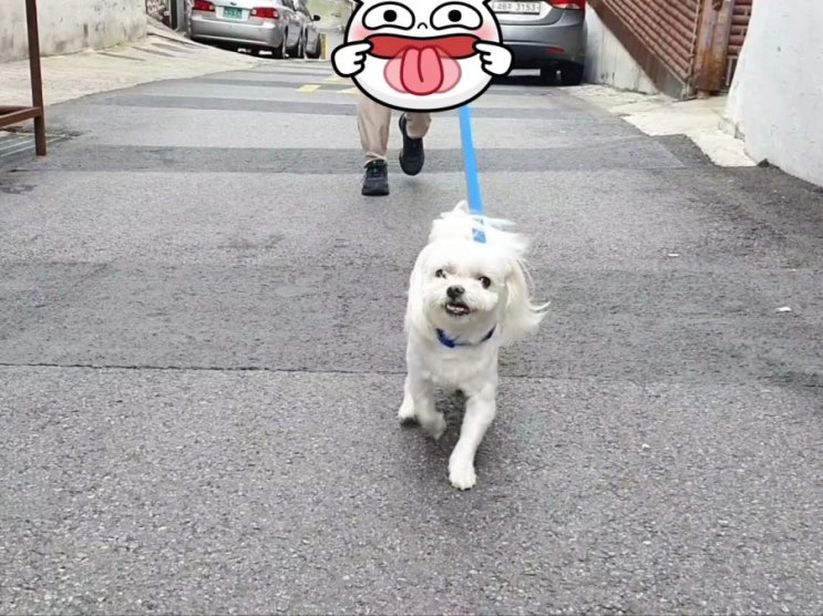  눈누왔는가???몰아쓰는 밀린일기